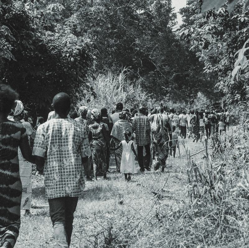 A long procession walks a path through tall grass and trees, seen from behind.