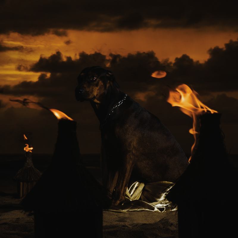 A dog sits between two fires under a dark, burning sky.