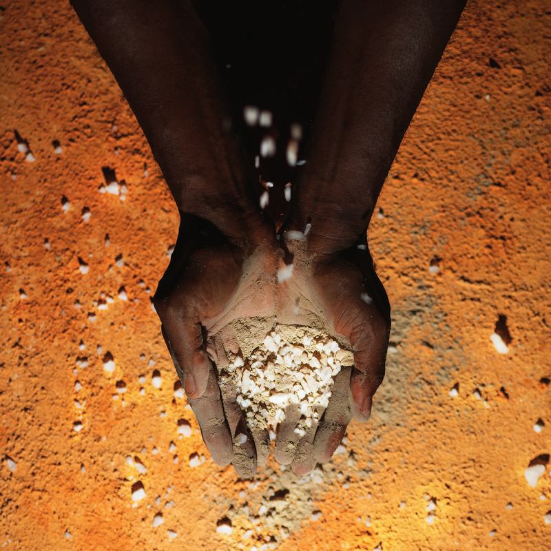 Cupped hands hold grain over red earth scattered with salt.