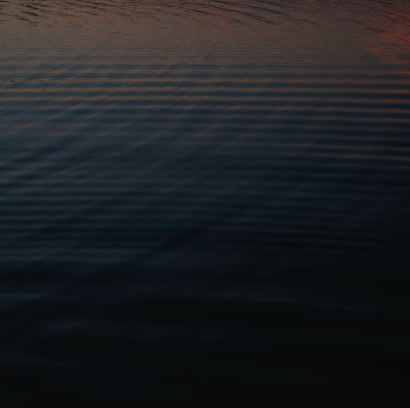 Dark water, rippled, holding the last light.